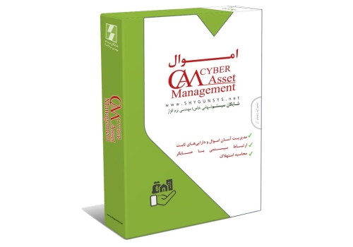 Asset